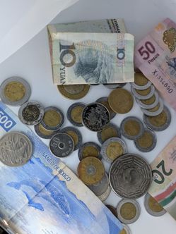 FOREIGN COINS AND BANK NOTES