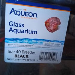 Aquarium