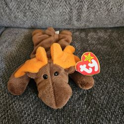Moose Beanie Baby