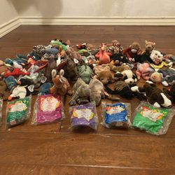 Beanie Babies - Box Full