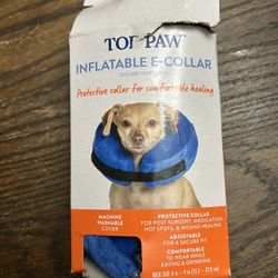Inflatable E-Collar