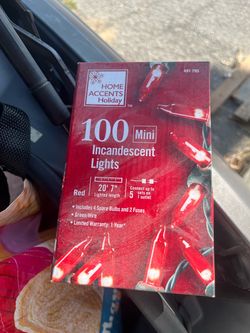Mini Christmas light