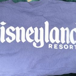 Disney Spirit Jersey