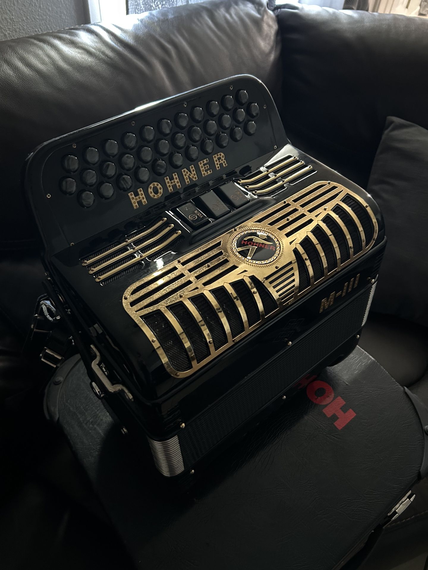 Accordion Acordeon Hohner Anacleto 