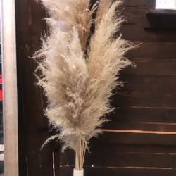 Bouquet Of Pampas