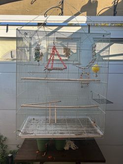 Xl bird cage with toys
