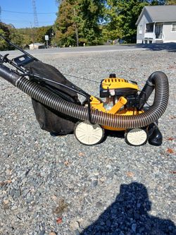 Recondition cub cadet lawn vacuum