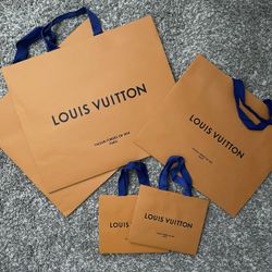 Authentic Louis Vuitton Paper Bag  Bags, Authentic louis vuitton, Louis  vuitton