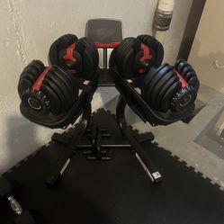 Bowflex Select Tech dumbbells  With Stand 