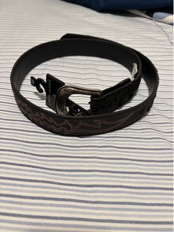 Fish scale belt