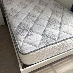Wayfair ultra firm full size mattress 12 inch height