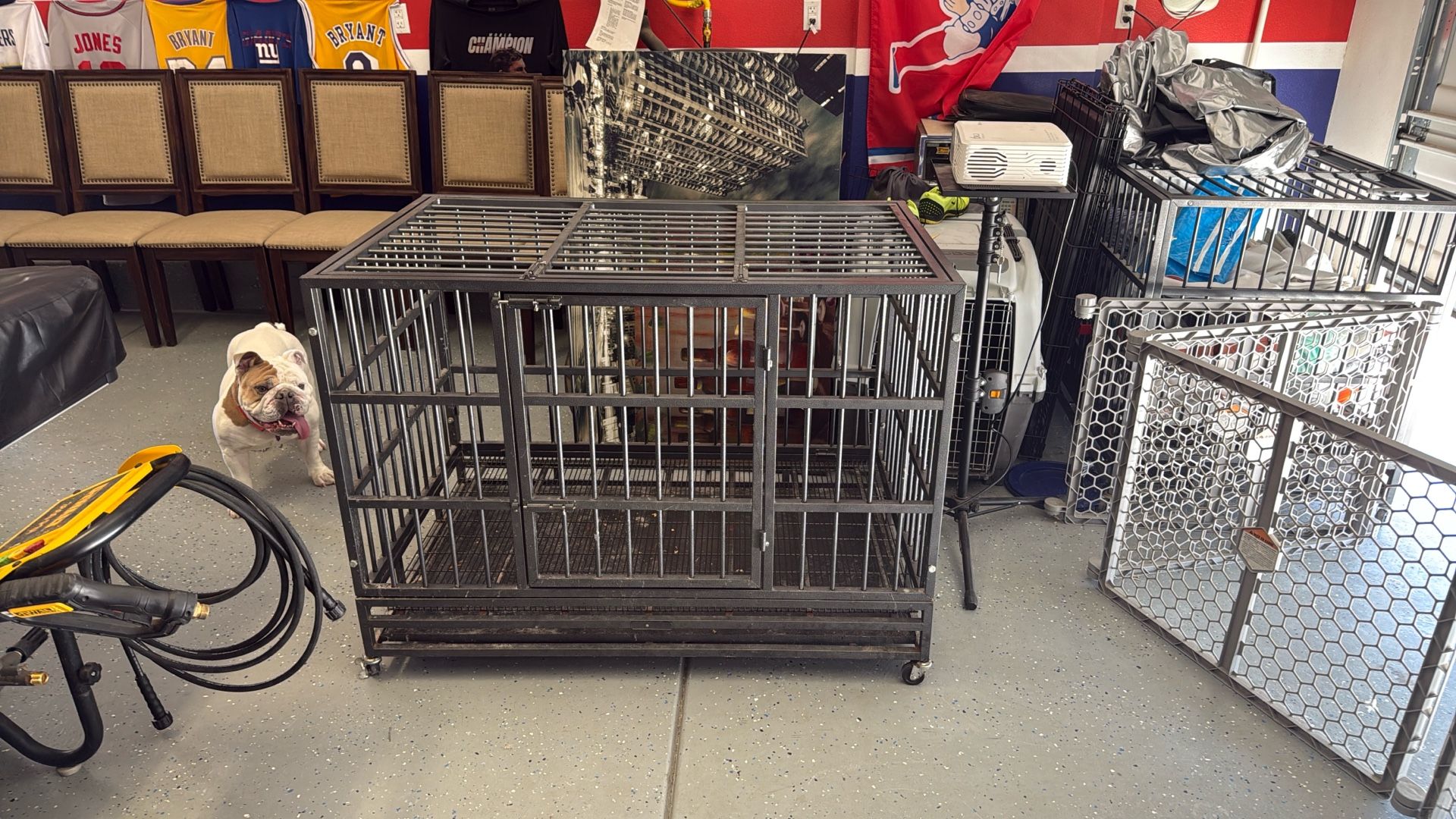 Dog Cages