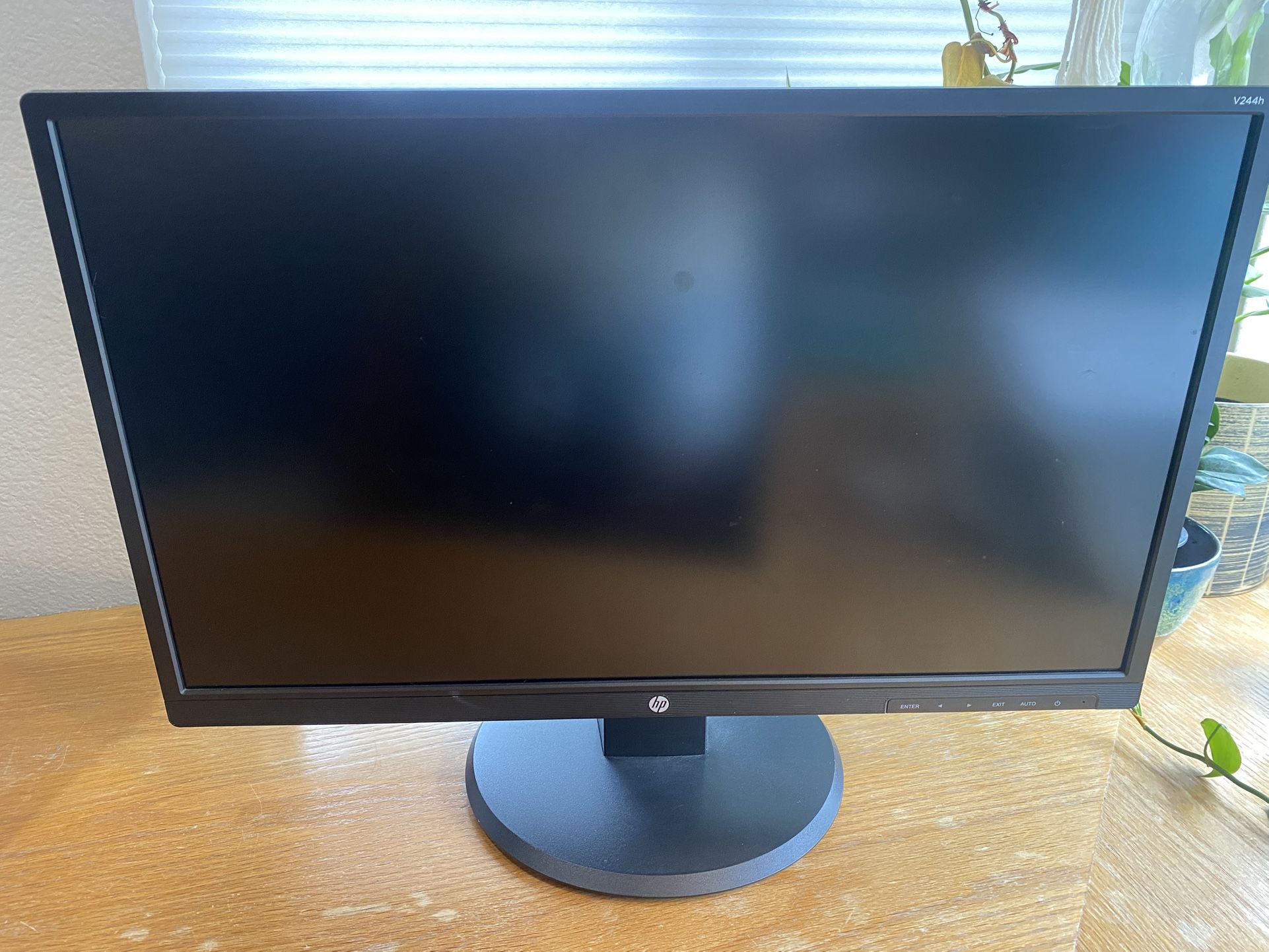 HP V244h 24” Monitor