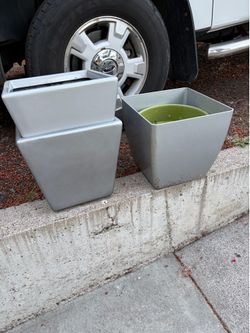 Pot