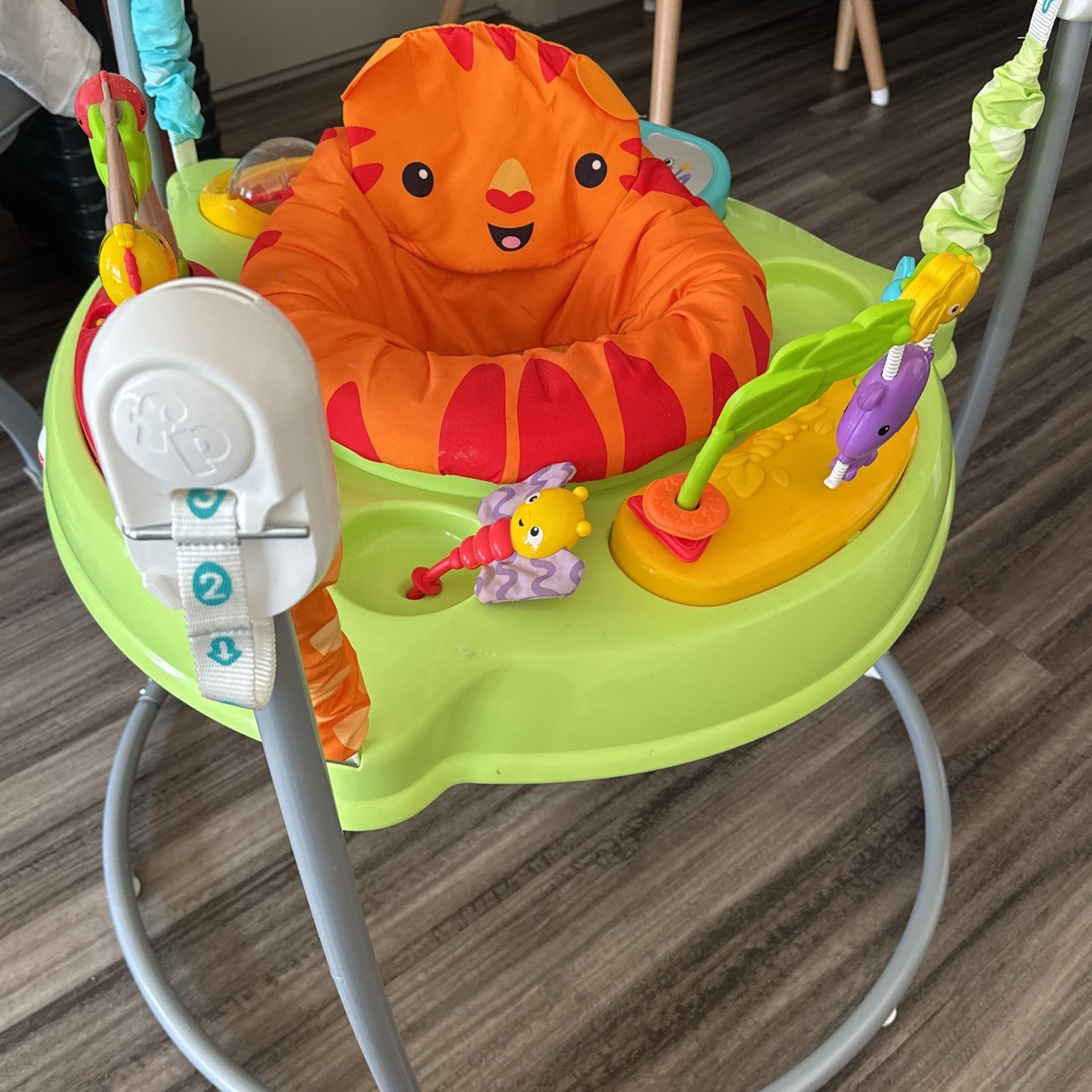 Fisher-Price baby bouncer