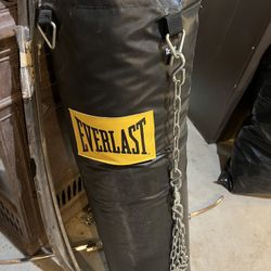 Everlast 100lb Punching Bag