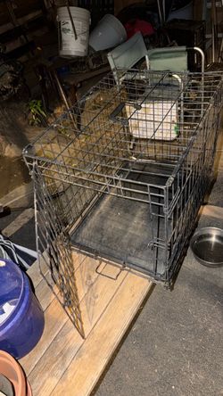 med Wire Dog Crate with Tray 24” long 18” tall