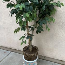 Artificial Plants 