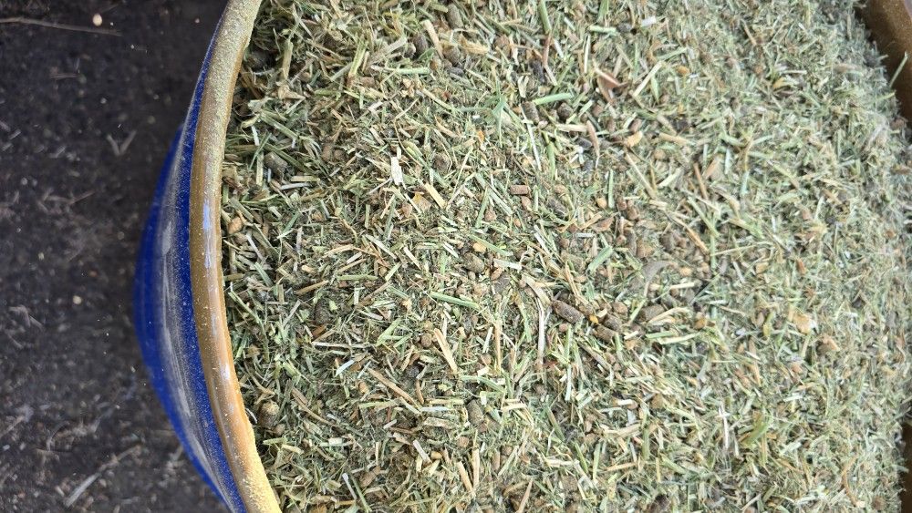 Premium Livestock Feed. Alimento Para Ganado