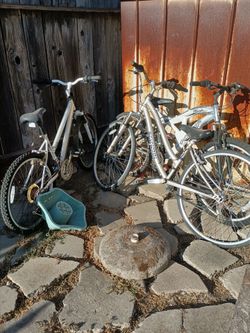 I have 6 bikes for 200.00 for all 6