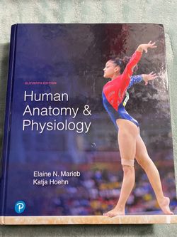 Human Anatomy & Physiology