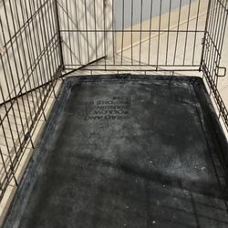 Dog Kennel