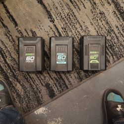 Green works Battery Pro 60v 