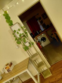 Shelf-lamp