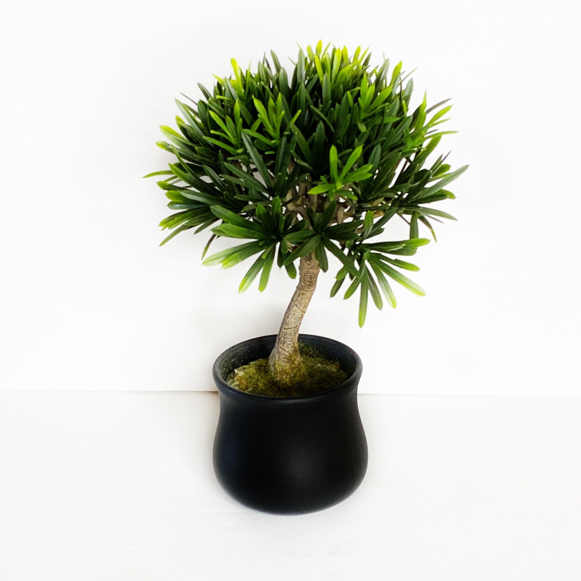 Decorative Mini Tree Faux Green Plant EUC