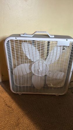 Fan