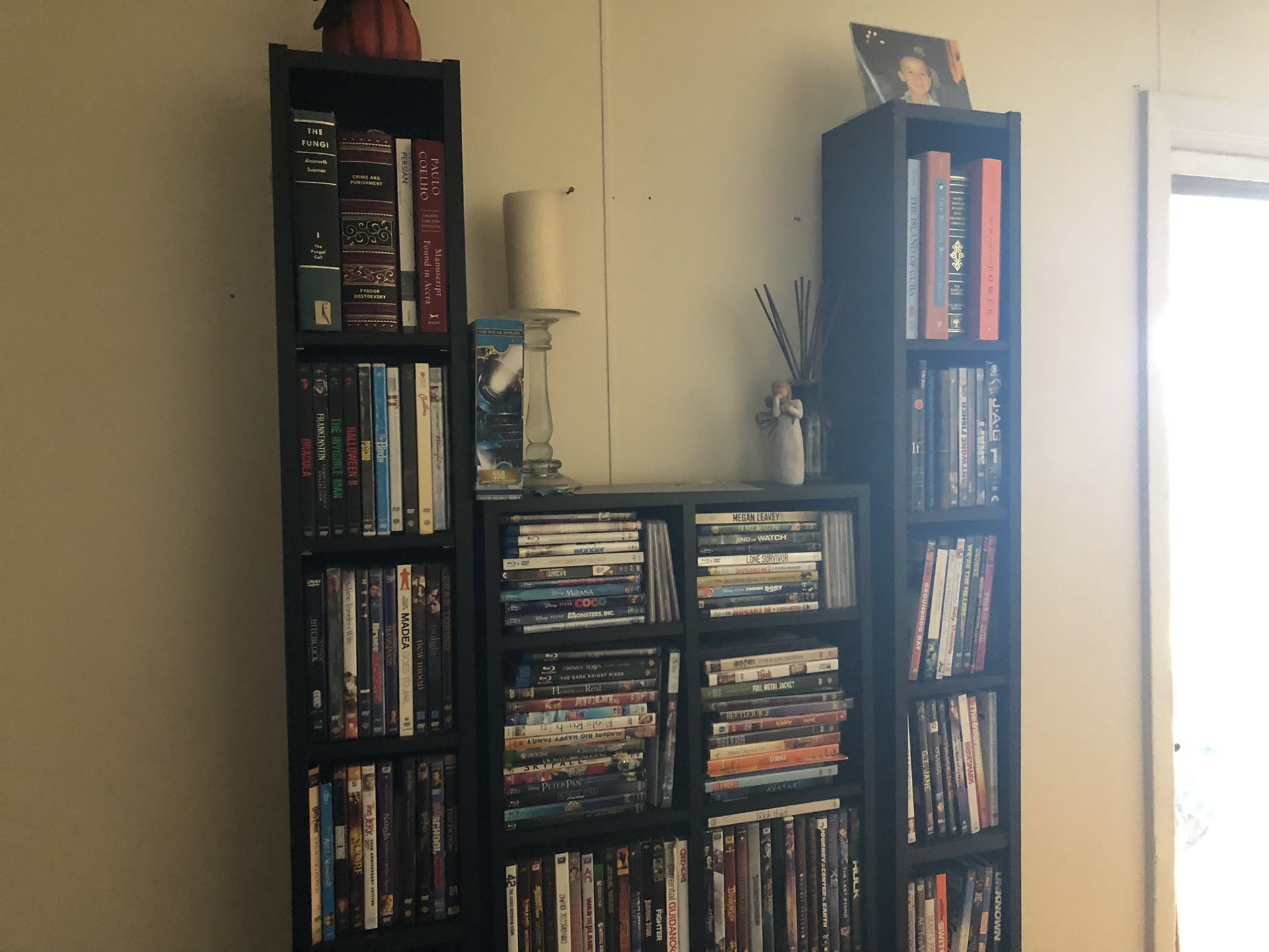 Media Or Book Shelves