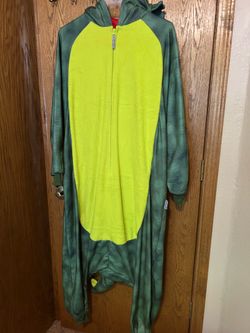 Dragon / lizard costume - $20
