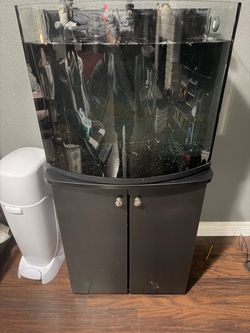 36 Gallon Bowfront