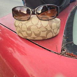 Suglasses