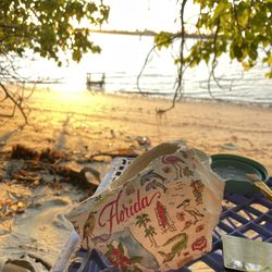 Handmade Decoupage Florida Conc Shells 