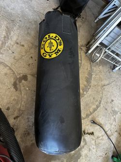 Golds Gym Punching Bag