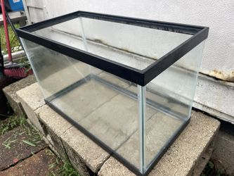 Fish Tank