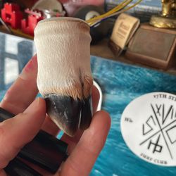 Goat Hoof Shot Glass