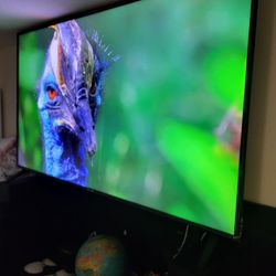 BIG LARGE TV LG 75"