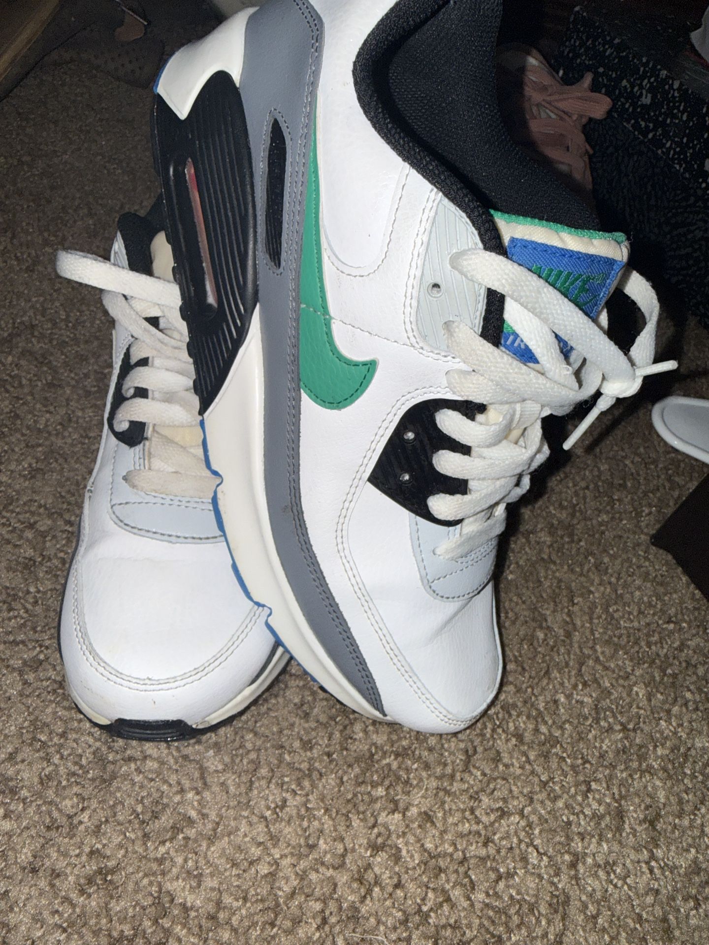 95 Air Max Womens Excellent condition local pick up