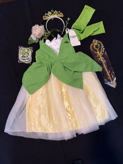 Princess Tiana costume