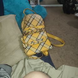 Backpack And Clutch
