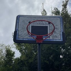 LifeTime Adjustable Basketball Hoop - FREE
