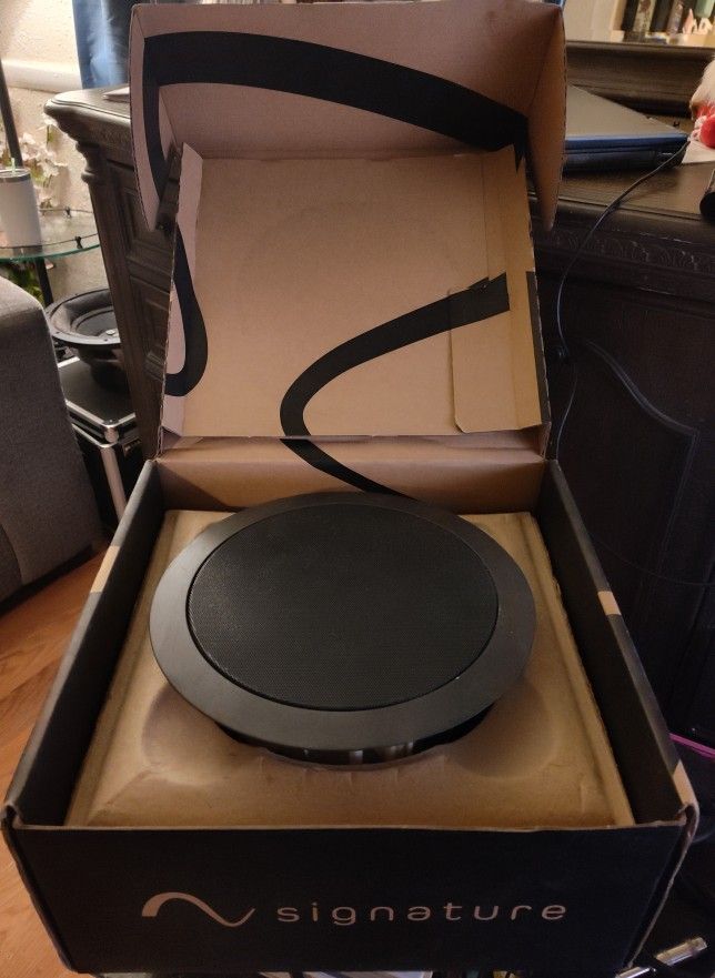 Speaker 6"