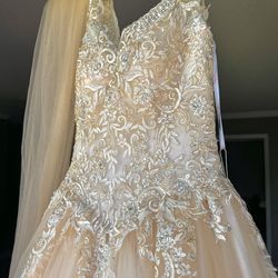 Brand New  Quinceañera Dress – Champagne Ball Gown