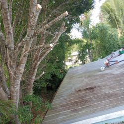 Trim Tree 