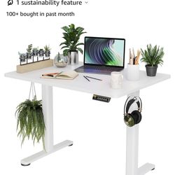 Standing Desk 