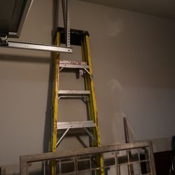 Ladder 9 Ft 