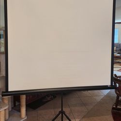 Movie screen, portable.