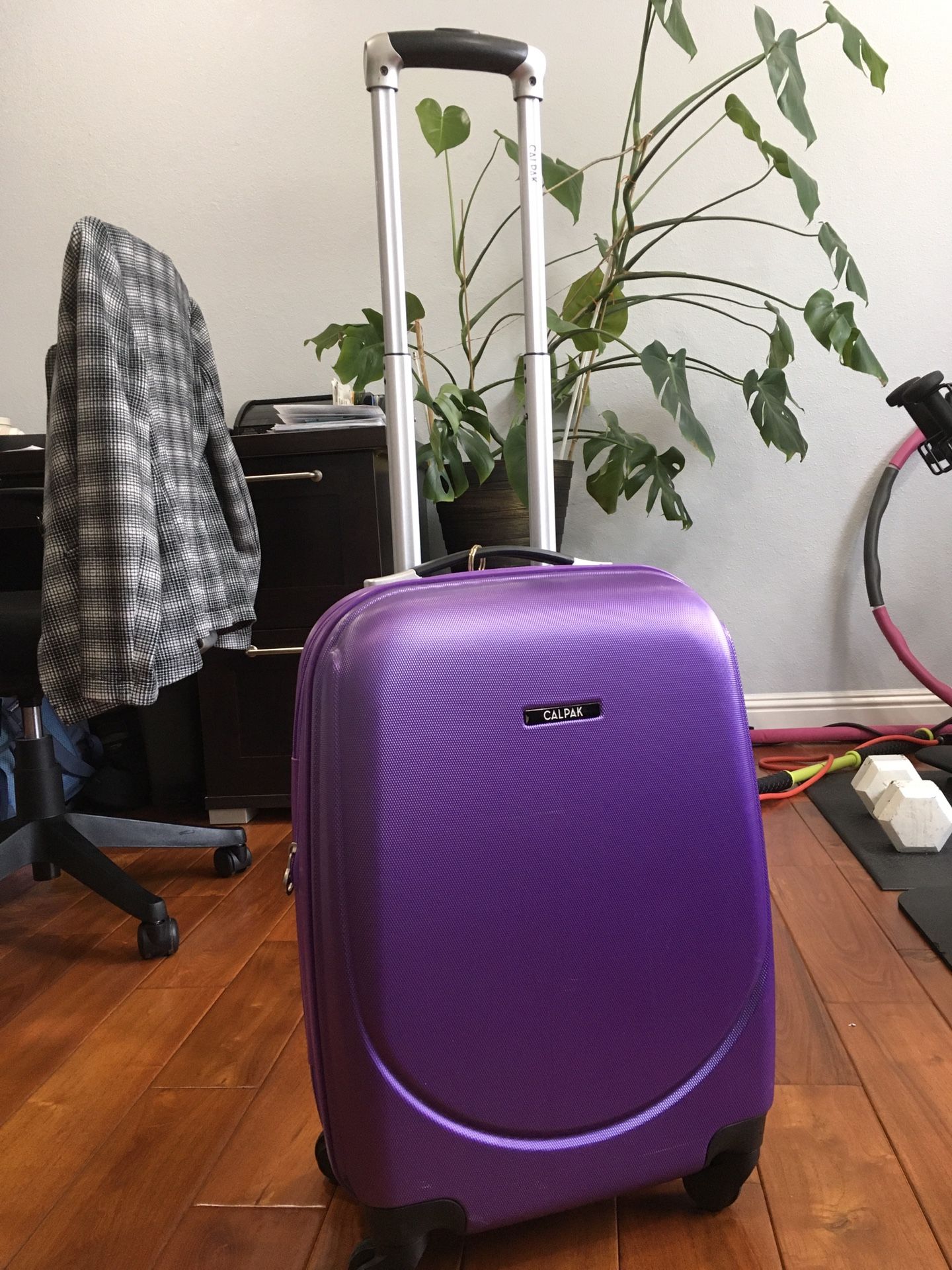 CALPAK Purple Carry-on Spinner Luggage 